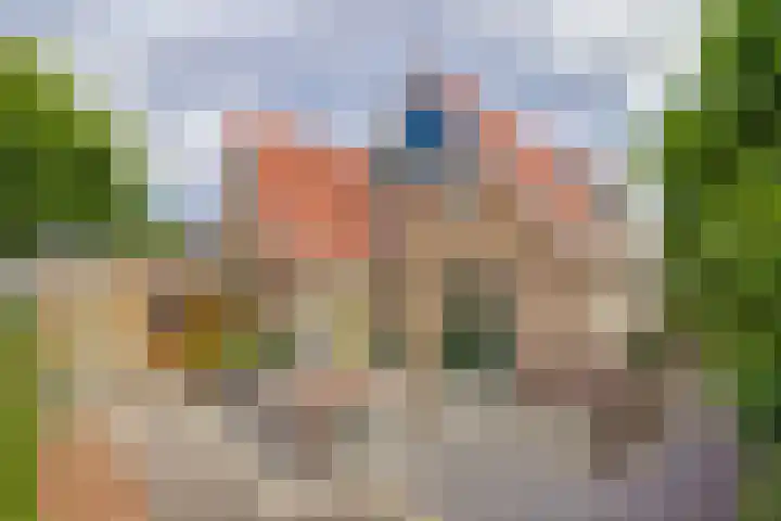 Amelsgroet 50 Zuid-Scharwoude thumbnail 45