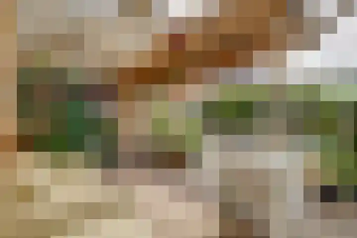 Amelsgroet 50 Zuid-Scharwoude thumbnail 48