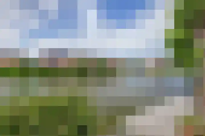 Amelsgroet 50 Zuid-Scharwoude thumbnail 50