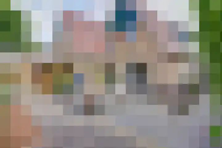 Amelsgroet 50 Zuid-Scharwoude thumbnail 52