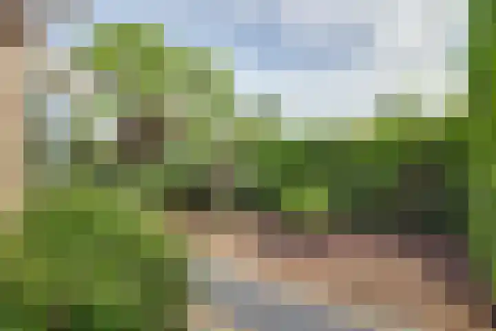 Amelsgroet 50 Zuid-Scharwoude thumbnail 54