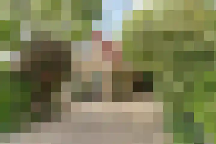 Amelsgroet 50 Zuid-Scharwoude thumbnail 56