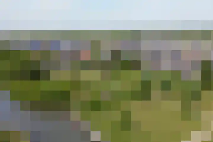 Amelsgroet 50 Zuid-Scharwoude thumbnail 59