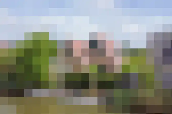 Amelsgroet 50 Zuid-Scharwoude thumbnail 63