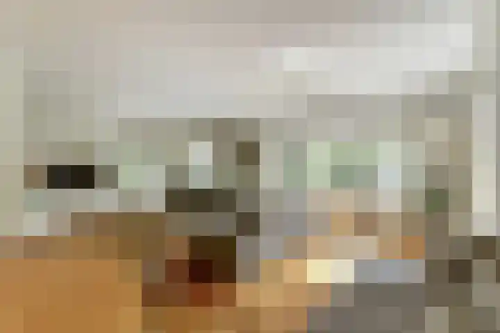 Amelsgroet 50 Zuid-Scharwoude thumbnail 8