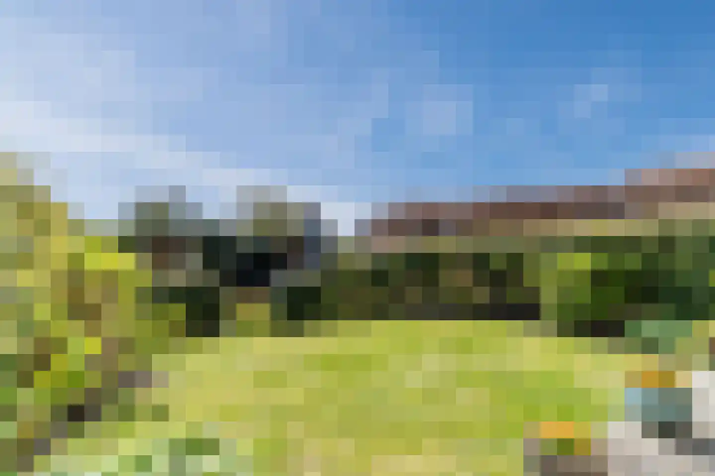 Amelsgroet 7 Zuid-Scharwoude thumbnail 51