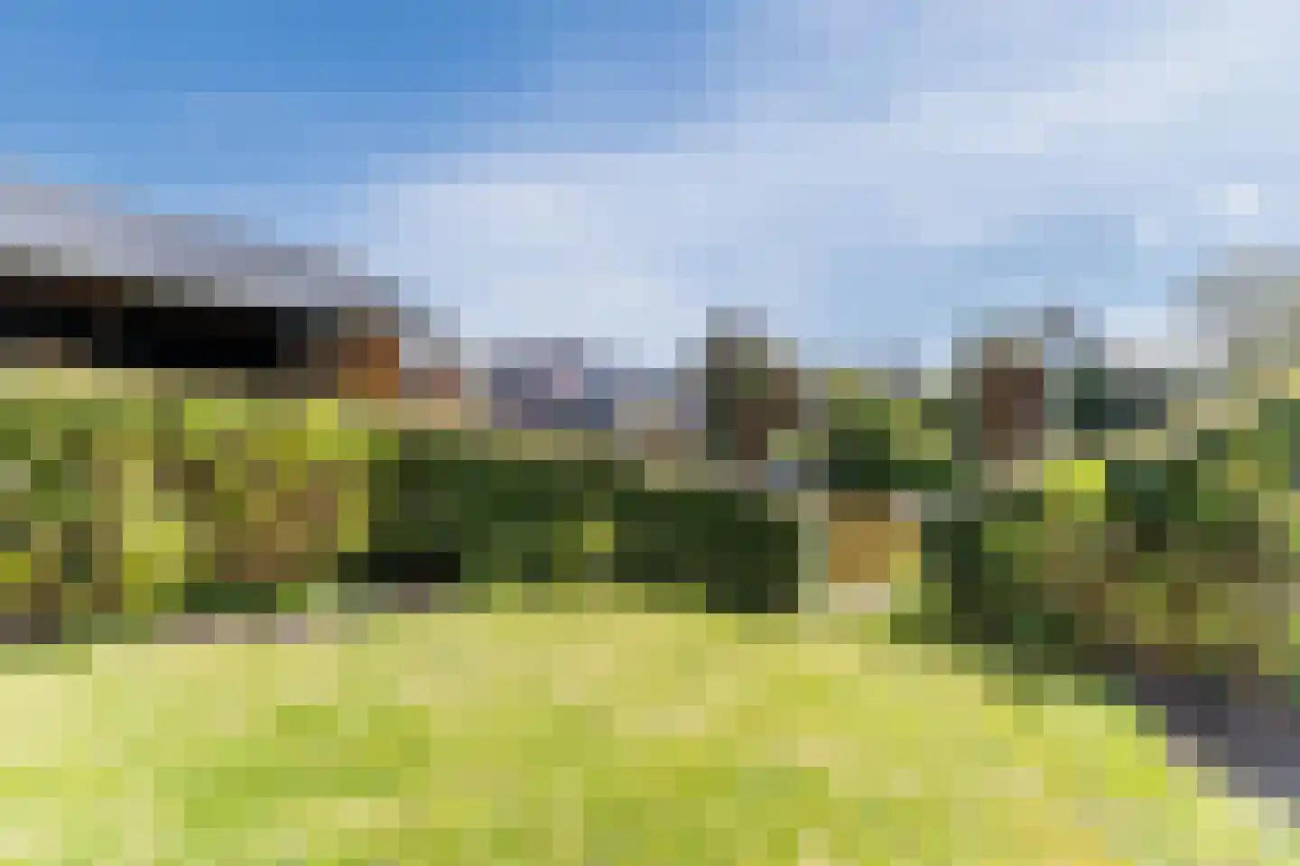 Amelsgroet 7 Zuid-Scharwoude thumbnail 52
