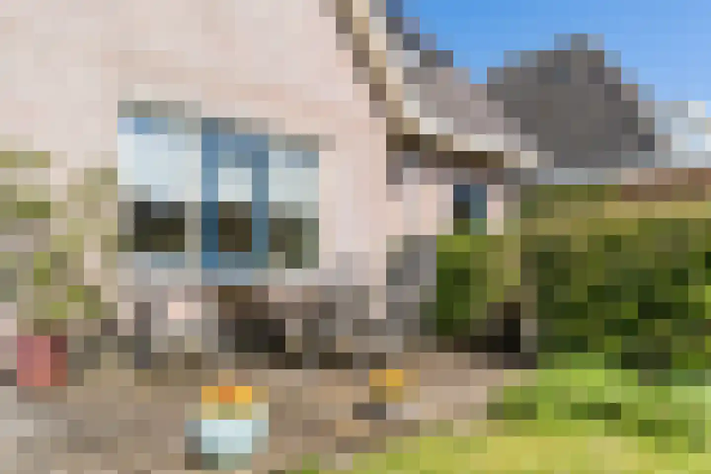 Amelsgroet 7 Zuid-Scharwoude thumbnail 53