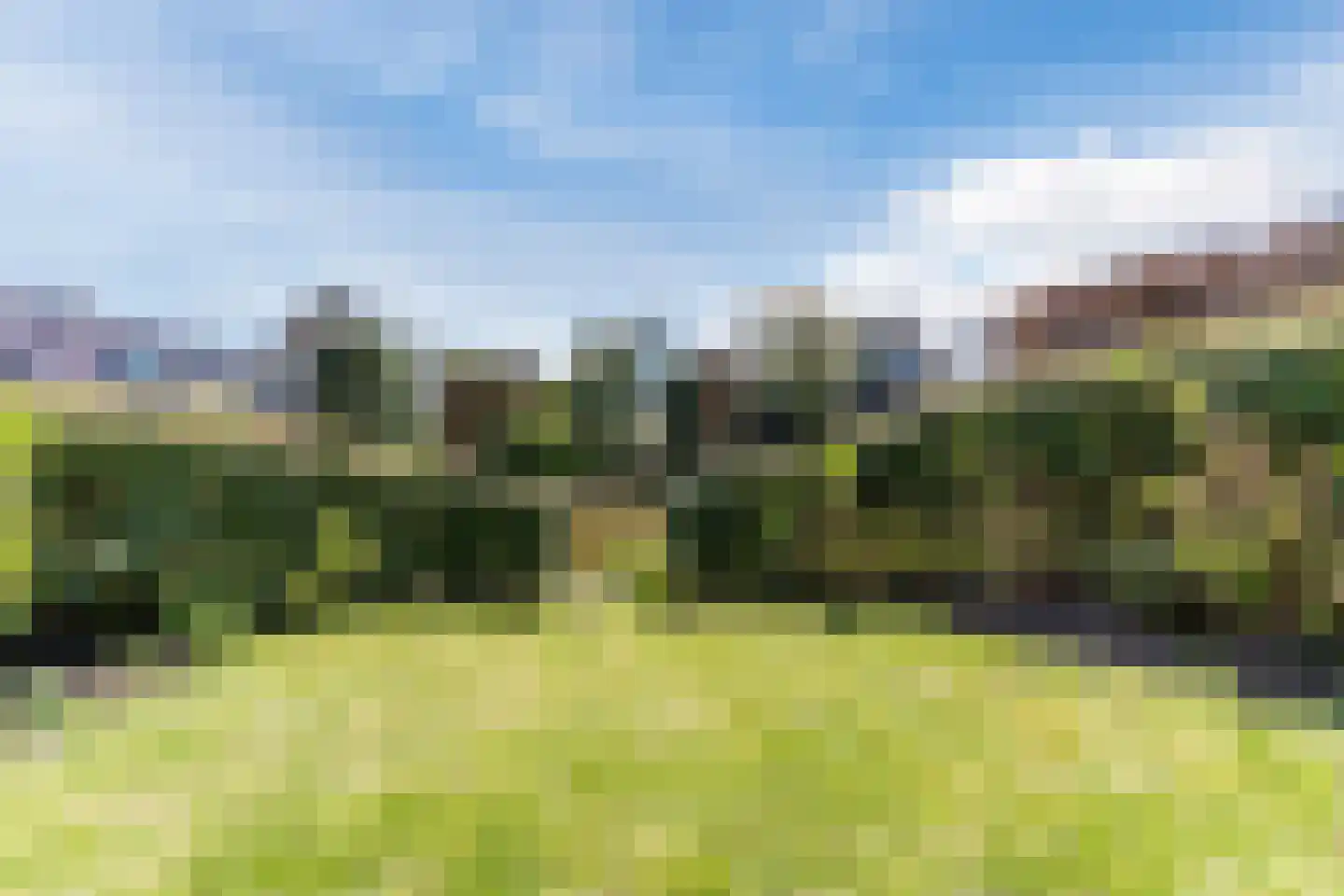 Amelsgroet 7 Zuid-Scharwoude thumbnail 58