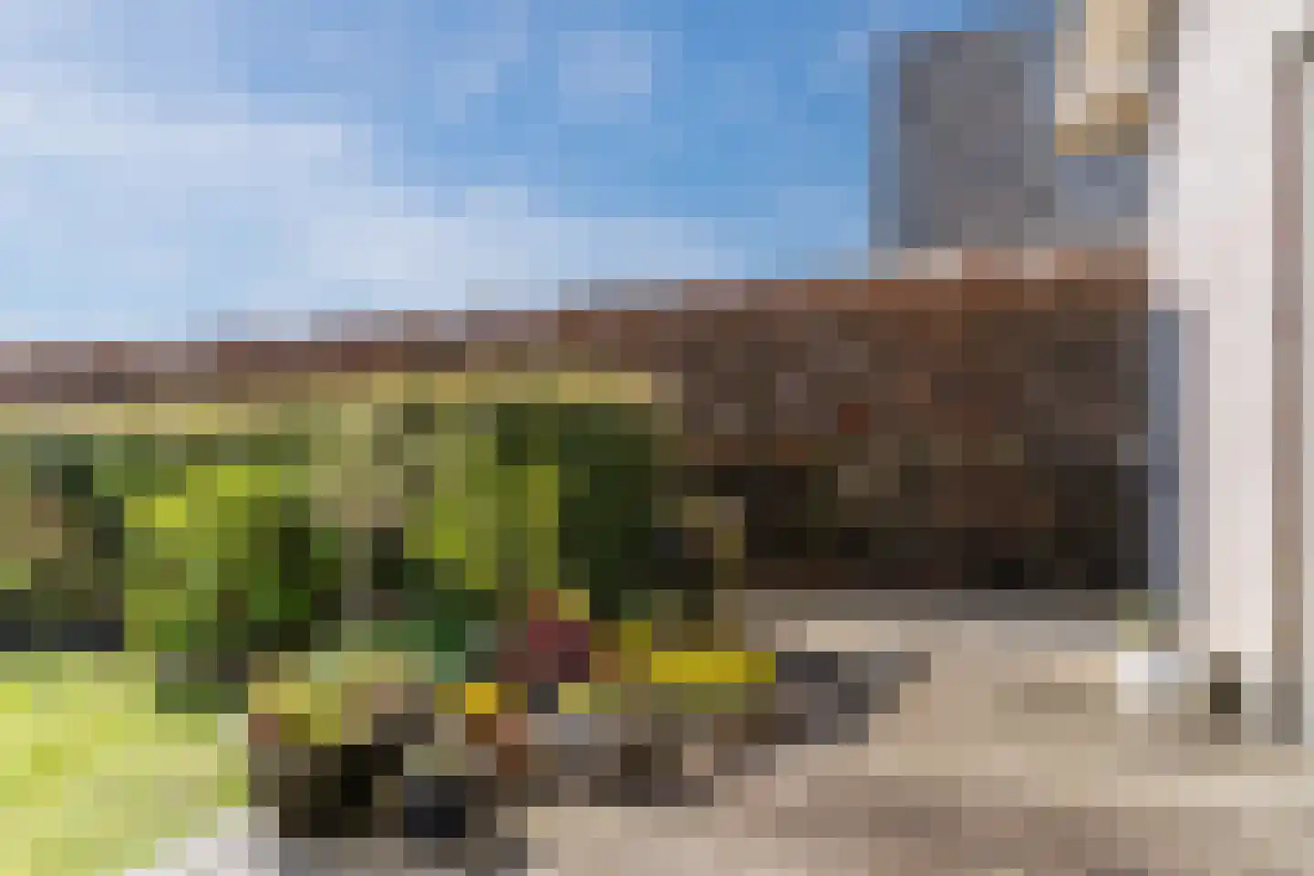 Amelsgroet 7 Zuid-Scharwoude thumbnail 59