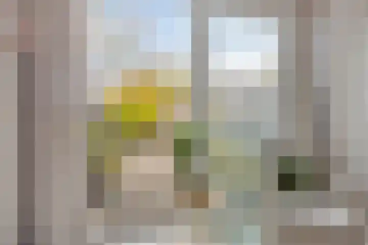 Amelterhout 102 Assen thumbnail 13