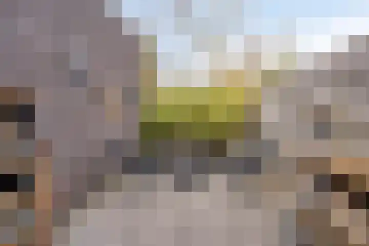 Amelterhout 102 Assen thumbnail 14