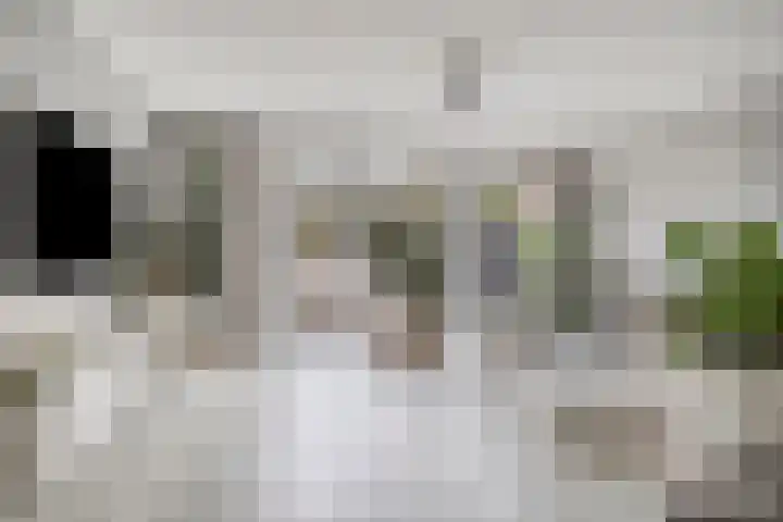 Amelterhout 102 Assen thumbnail 18