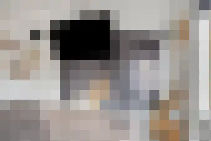 Amelterhout 102 Assen thumbnail 28