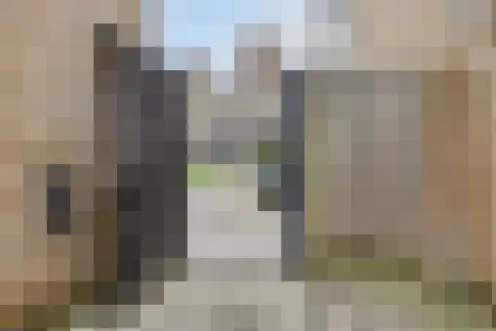 Amelterhout 102 Assen thumbnail 41