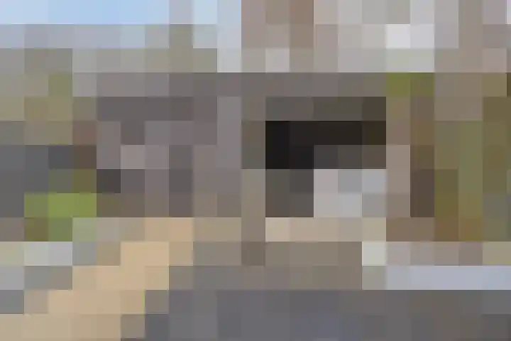 Amelterhout 102 Assen thumbnail 43