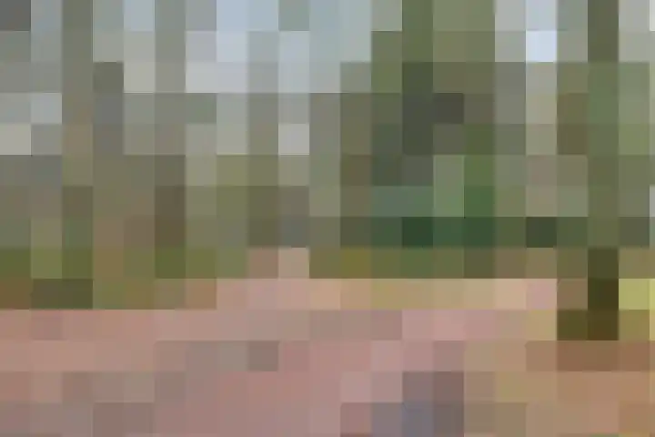 Amelterhout 102 Assen thumbnail 51