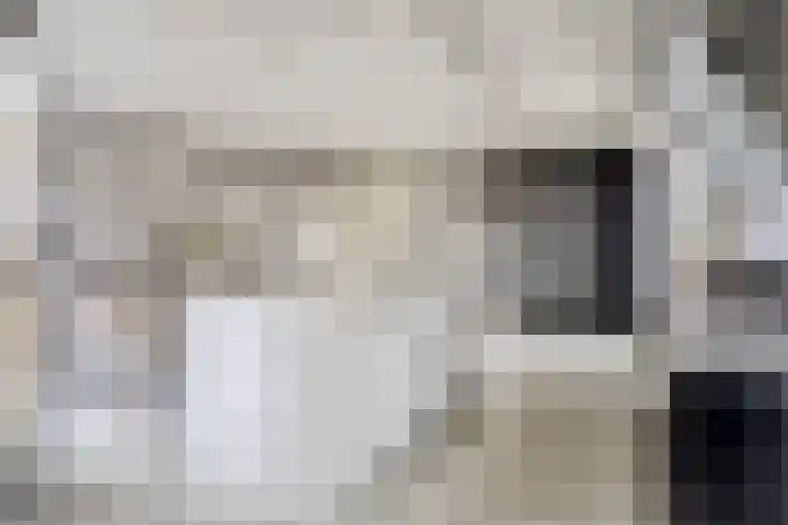 Amelterhout 102 Assen thumbnail 7