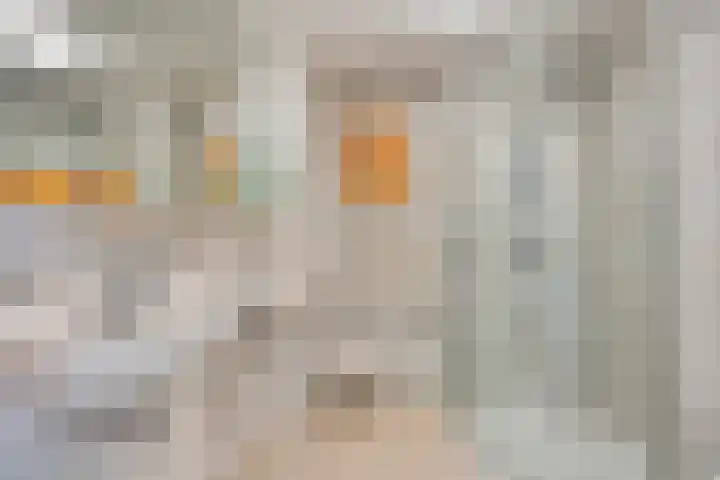 Amelterhout 116 Assen thumbnail 22
