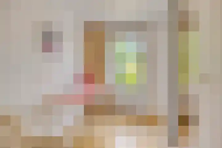 Amelterhout 116 Assen thumbnail 24