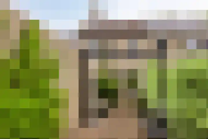 Amelterhout 116 Assen thumbnail 33