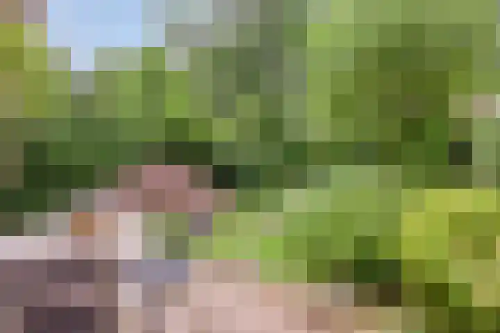 Amelterhout 116 Assen thumbnail 35