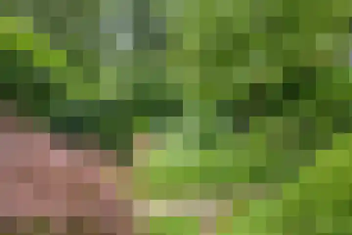 Amelterhout 116 Assen thumbnail 36