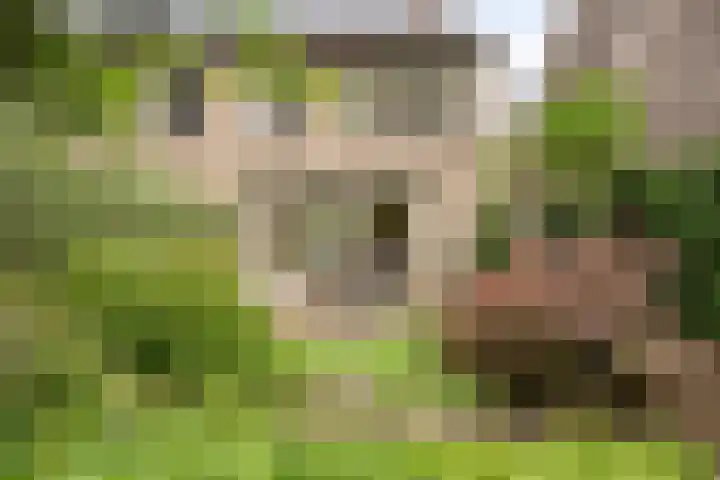 Amelterhout 116 Assen thumbnail 37