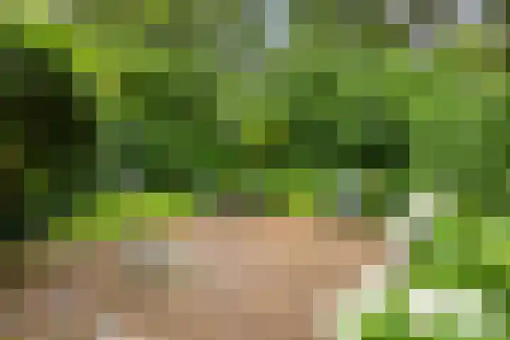 Amelterhout 116 Assen thumbnail 38