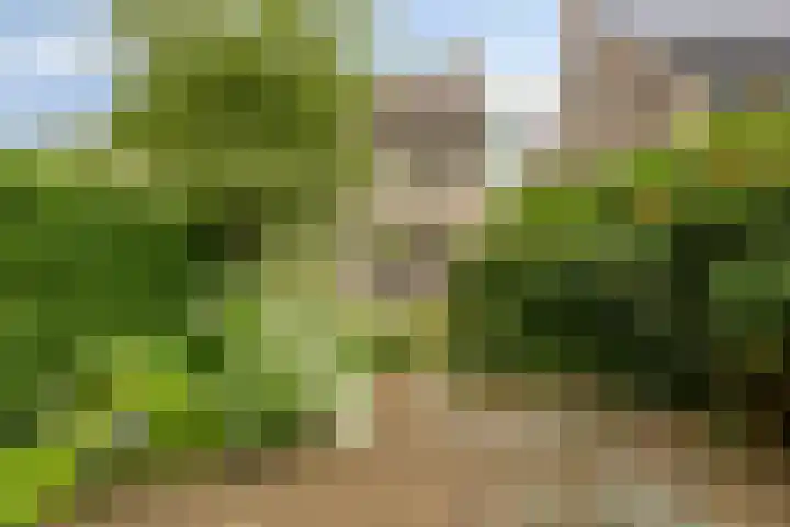 Amelterhout 116 Assen thumbnail 39