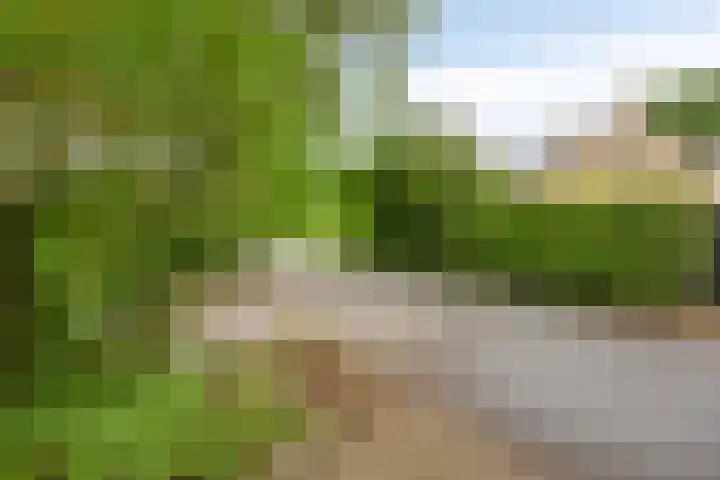 Amelterhout 116 Assen thumbnail 40