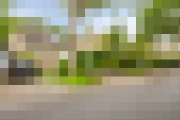 Amelterhout 116 Assen thumbnail 41