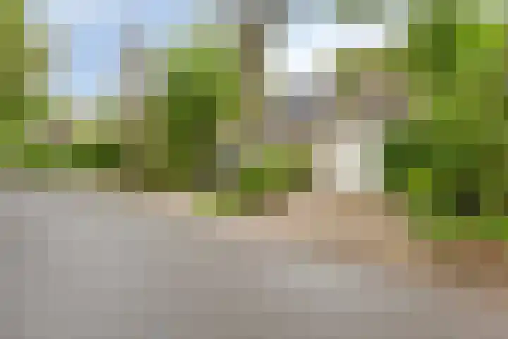 Amelterhout 116 Assen thumbnail 42