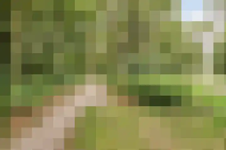 Amelterhout 116 Assen thumbnail 43