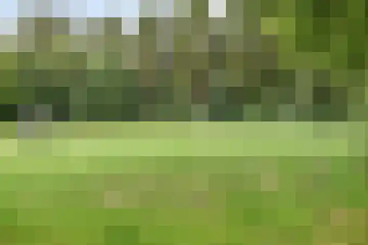 Amelterhout 116 Assen thumbnail 44