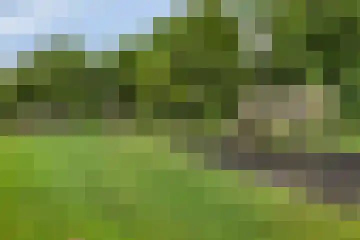 Amelterhout 116 Assen thumbnail 45