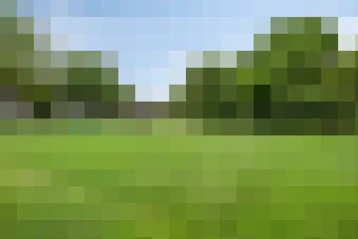 Amelterhout 116 Assen thumbnail 46