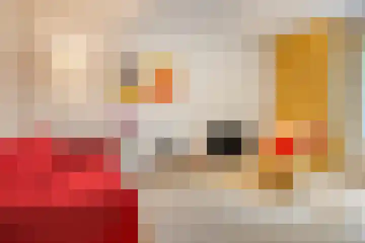 Amelterhout 116 Assen thumbnail 8