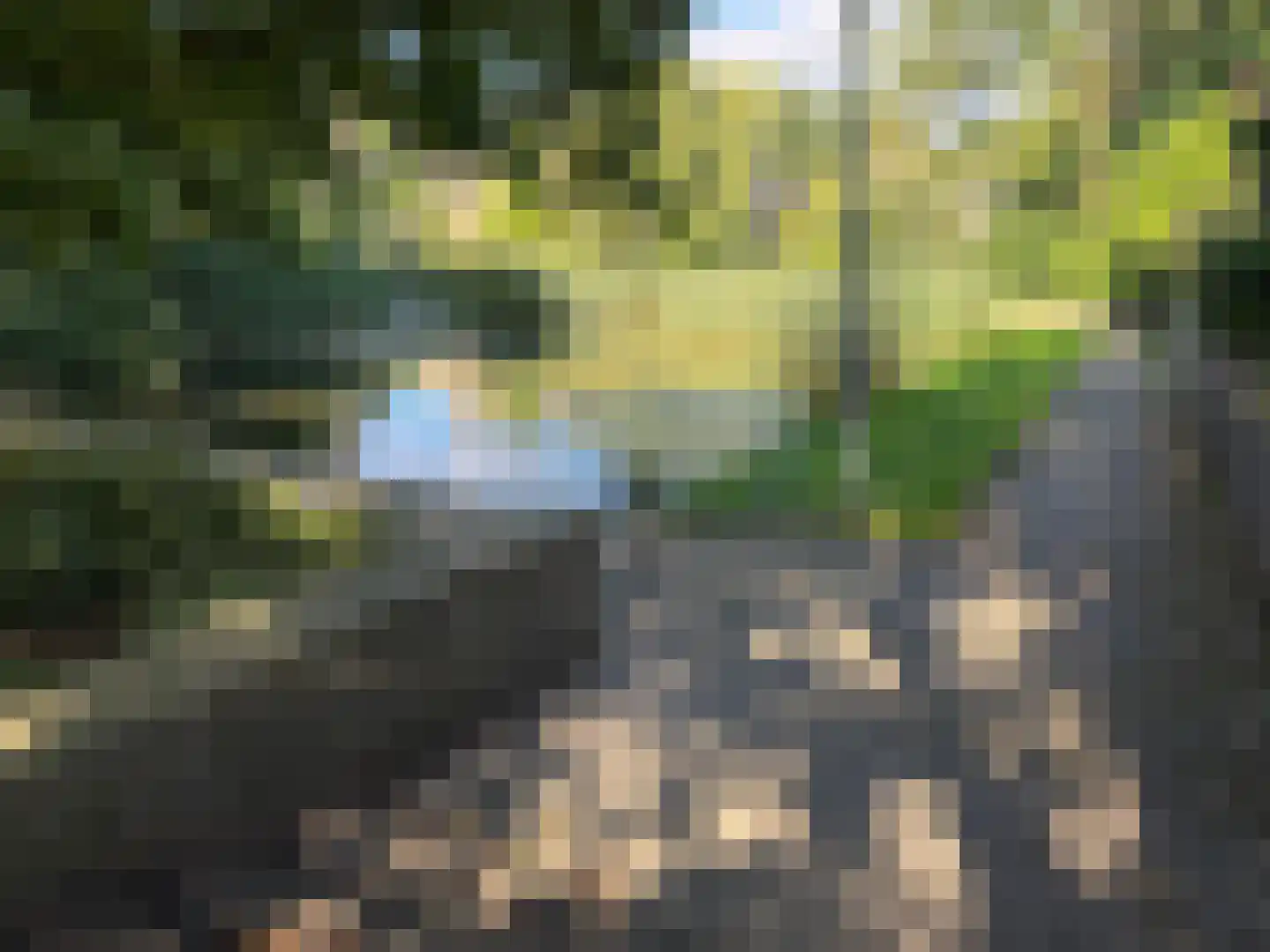 Amelterhout 20 Assen thumbnail 24