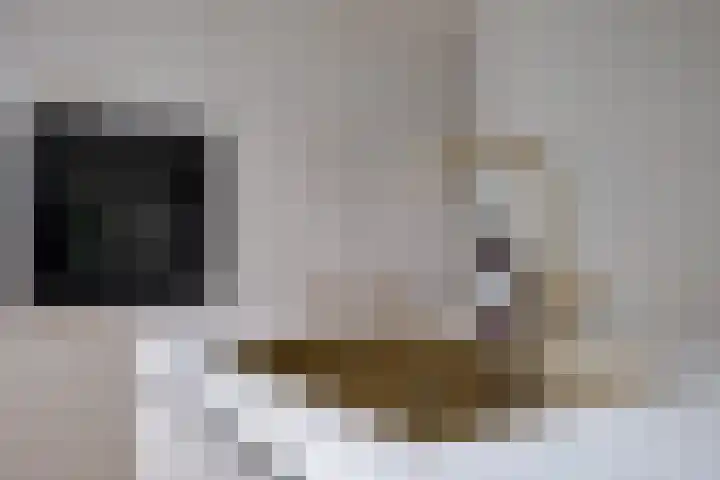 Amelterhout 23 Assen thumbnail 12