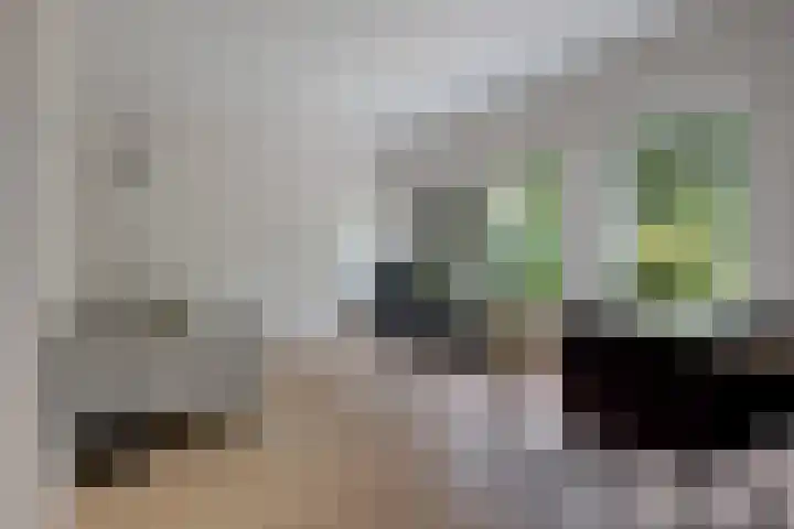 Amelterhout 23 Assen thumbnail 16