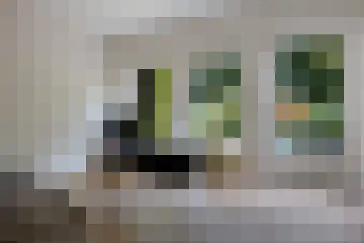 Amelterhout 23 Assen thumbnail 17