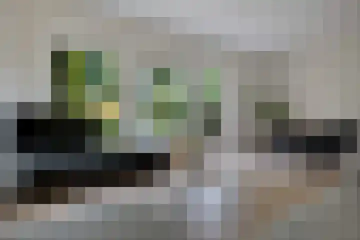 Amelterhout 23 Assen thumbnail 18