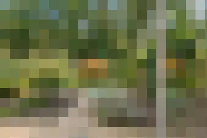 Amelterhout 23 Assen thumbnail 19