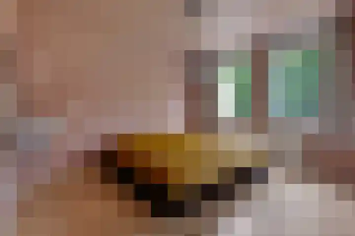 Amelterhout 23 Assen thumbnail 23