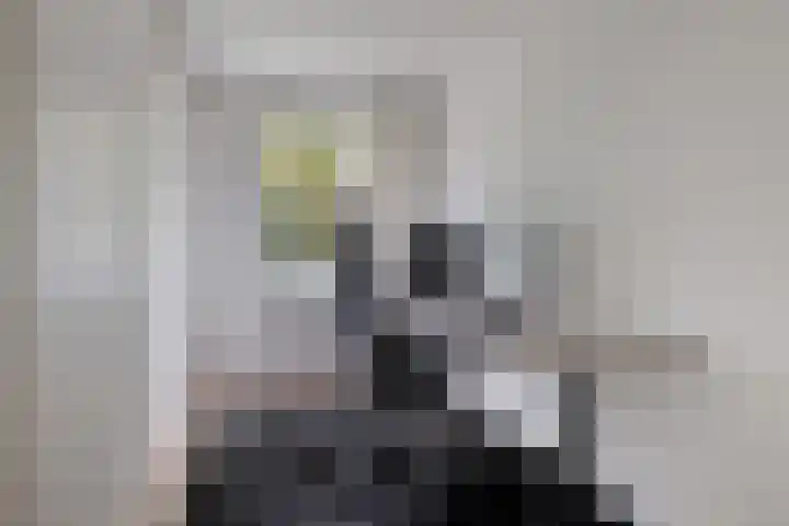 Amelterhout 23 Assen thumbnail 28