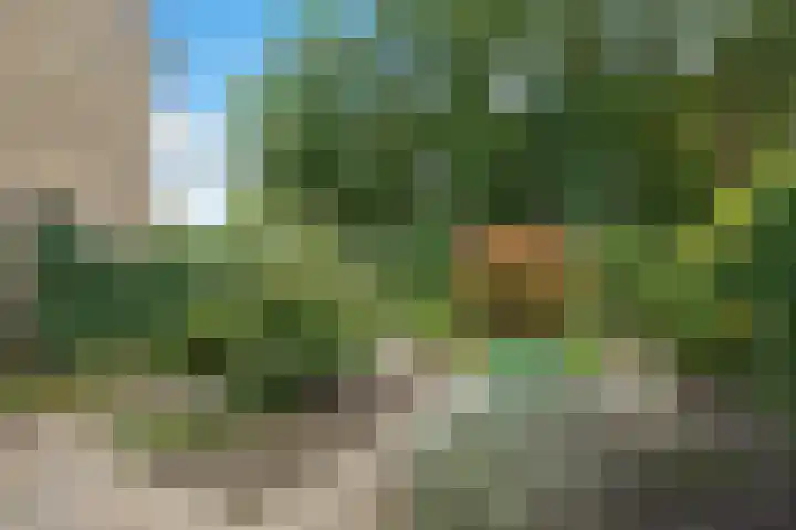 Amelterhout 23 Assen thumbnail 34