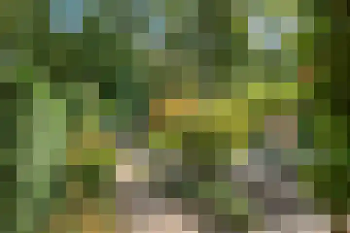 Amelterhout 23 Assen thumbnail 35