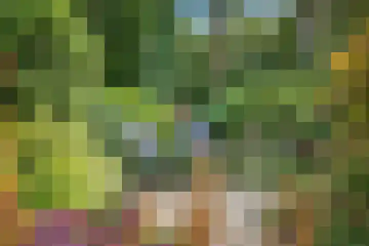 Amelterhout 23 Assen thumbnail 37