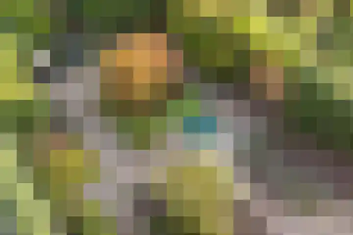 Amelterhout 23 Assen thumbnail 38